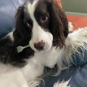 Meet your Posher, Caitlin